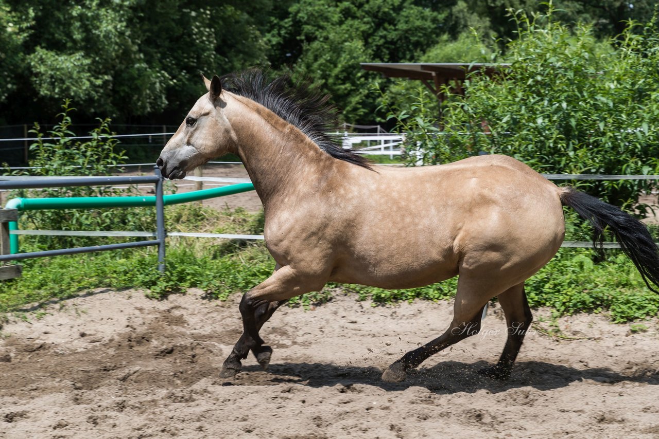 Bild 183 - Vivi